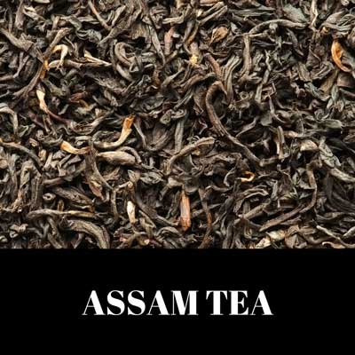 assam-tea