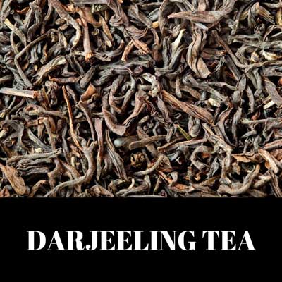 darjeeling-tea